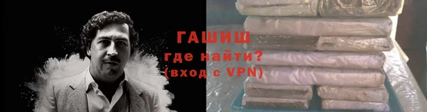 гашик Алексин